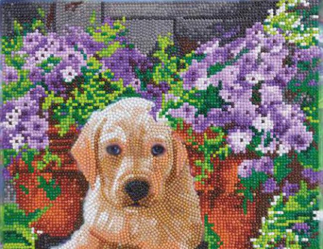 CRYSTAL ART KIT - MEDIUM - FLORAL PUP