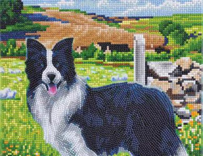 CRYSTAL ART KIT (MED) - PUP IN THE FIELD