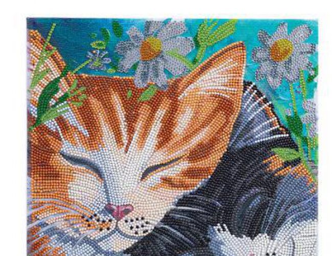 CRYSTAL ART KIT (MED) - SLEEPY CATS