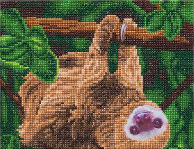 CRYSTAL ART KIT - TWO TOED SLOTH