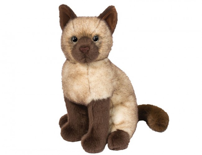 DOUGLAS 279 CHAI SIAMESE CAT