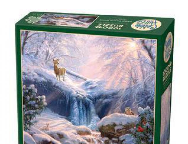 COBBLE HILL 1000 PCS MYSTIC FALLS IN WINTER