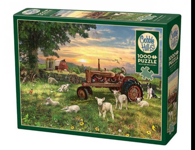 COBBLE HILL 1000 PCS FIELD AT SUNRISE