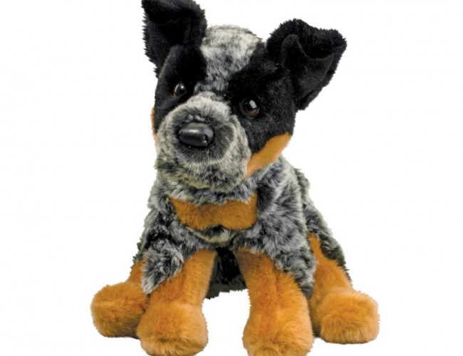DOUGLAS 1966 DEXTER AUSTRALIAN CATTLE DOG