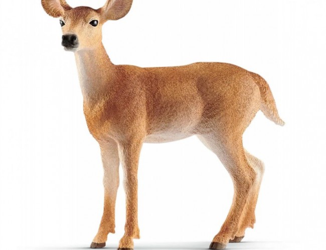 SCHLEICH WHITE-TAILED DOE