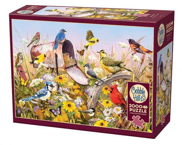 COBBLE HILL 2000 PCS FIELD SONG