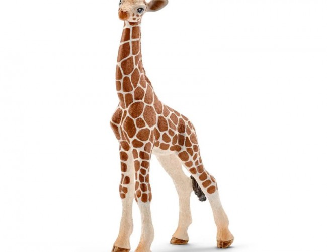 SCHLEICH: GIRAFFE CALF