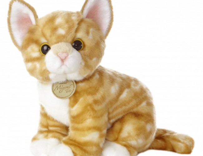 AURORA - MIYONI TOTS: ORANGE TABBY KITTEN