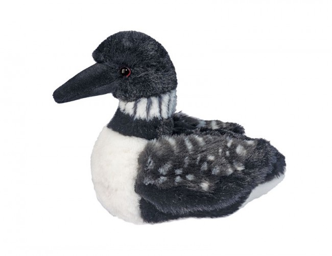 DOUGLAS 4818 LOONIE LOON MINI SOFT