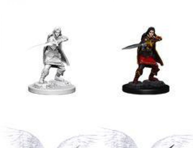 UNPAINTED MINIS: FIGHTER AASIMAR FEMALE