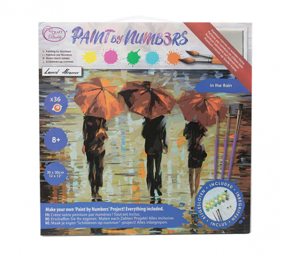 PAINT BY NUMBERS (MED) - IN THE RAIN