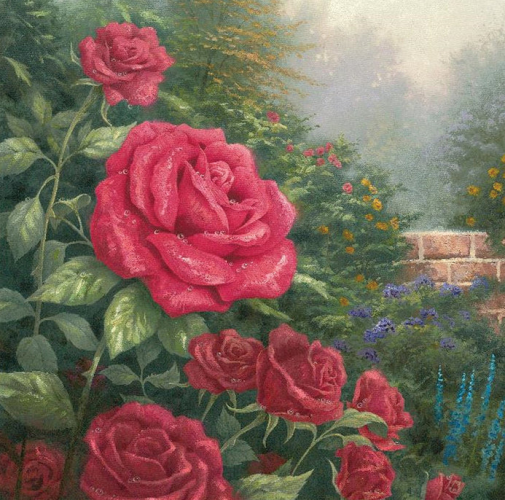 PAINT BY NUMBERS (MED) - A PERFECT RED ROSE