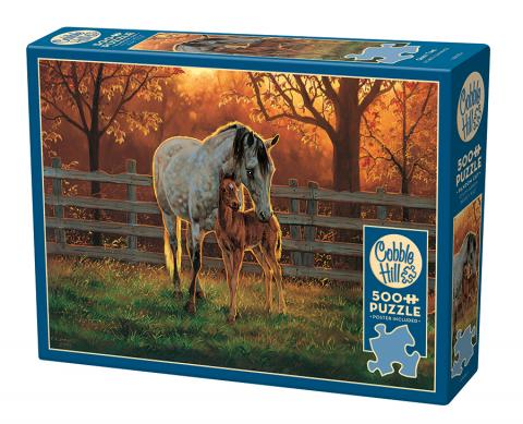 COBBLE HILL 500 PCS QUIET TIME