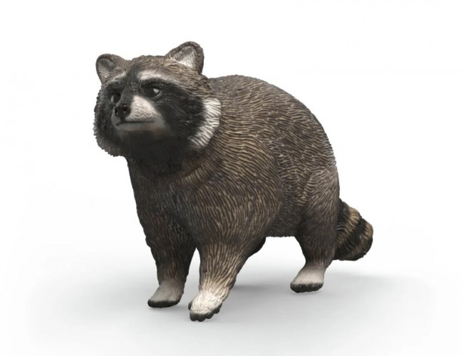 SCHLEICH - RACCOON
