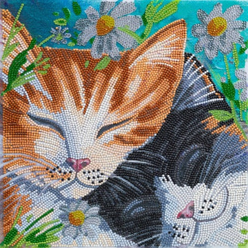 CRYSTAL ART KIT (MED) - SLEEPY CATS