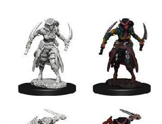 UNPAINTED MINIS: TIEFLING FEMALE ROGUE