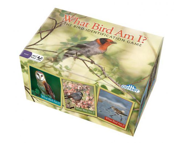 WHAT BIRD AM I? (AGE 14+)
